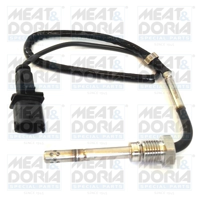 Sensor, exhaust gas temperature
